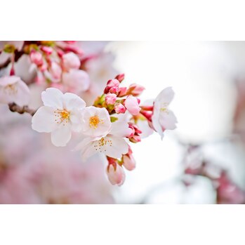 **. 4月病や春バテについて **.