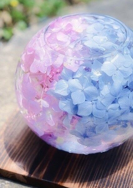 梅雨の消化不良