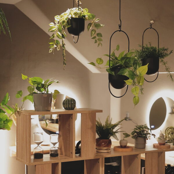 口コミを書いていただくと、、、