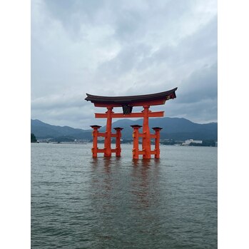 旅行にいきました～！