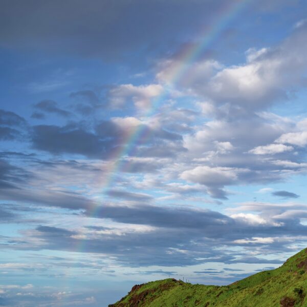 今日は虹の日🌈