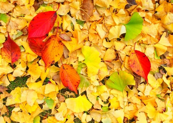 乾燥で体調不良？