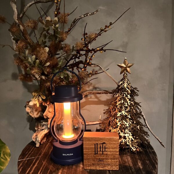 爪は体のサインかも🌿