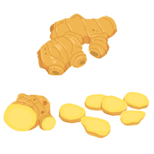 花粉対策に生姜