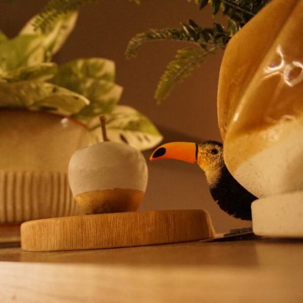 🌿 よくいただく質問