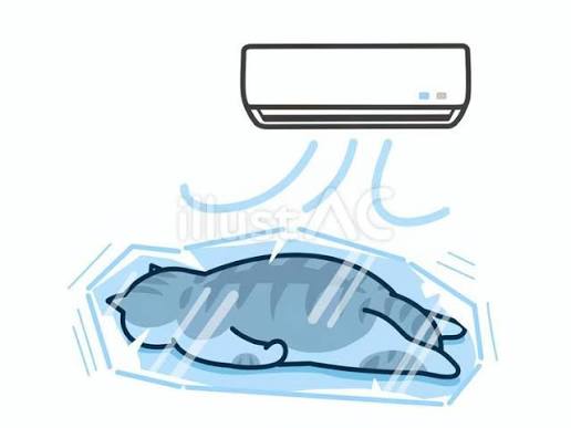 冷房の効いた部屋で起こりやすい体の変化
